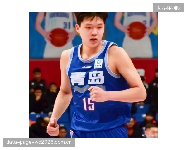 杨瀚森以极高的球员效率值（PER）和防守影响力，证明其为CBA顶级内线。