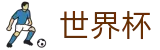 FIFA 2026世界杯中文唯一指定买球网_注册简单快捷